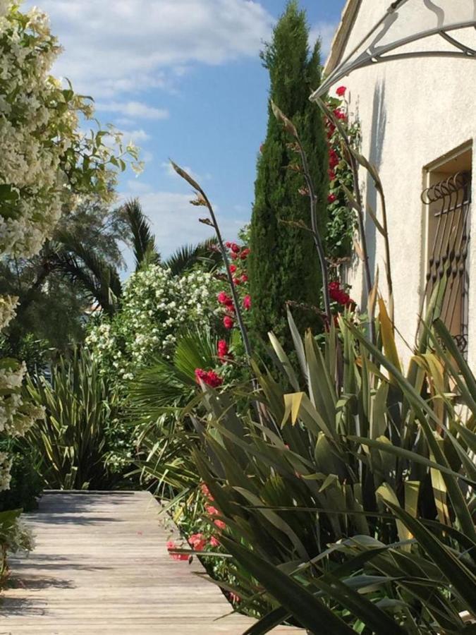 La Villa Vaihere En Camargue, L'Hibiscus Et Le Magnolia Saintes-Maries-de-la-Mer Esterno foto