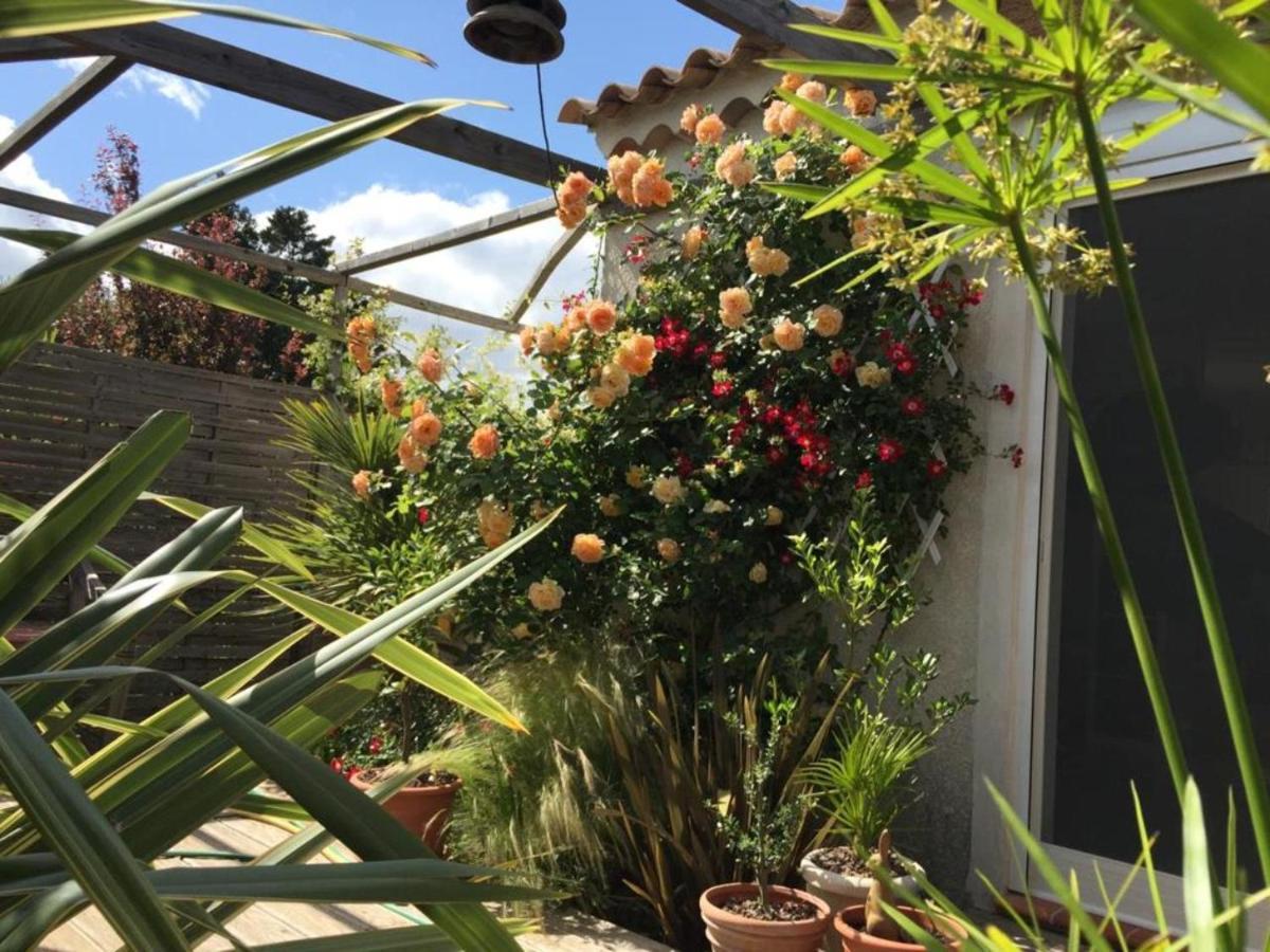 La Villa Vaihere En Camargue, L'Hibiscus Et Le Magnolia Saintes-Maries-de-la-Mer Esterno foto